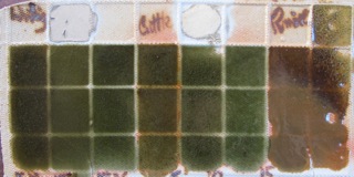 IMG_4509_023IMG_4509steve Harrison 2