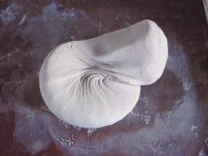 IMG_0859