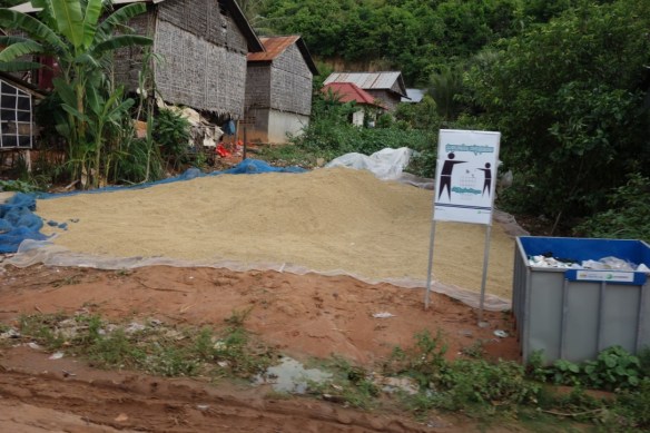 UNADJUSTEDNONRAW_thumb_310e