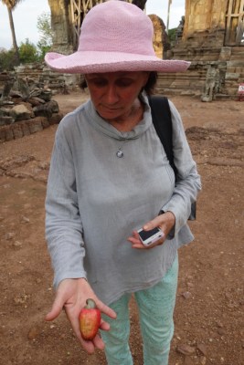 UNADJUSTEDNONRAW_thumb_314f