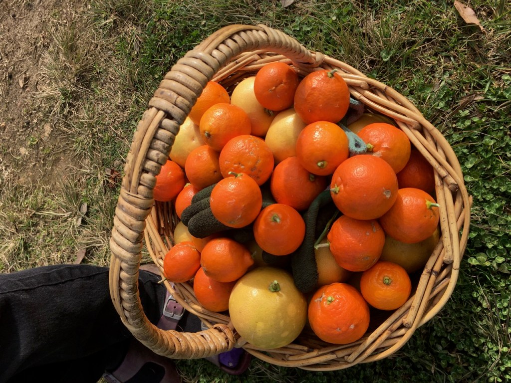 This image has an empty alt attribute; its file name is img_4754.jpg