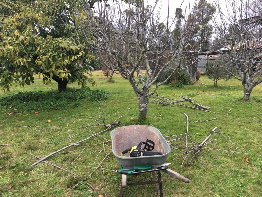 This image has an empty alt attribute; its file name is img_4791.jpg