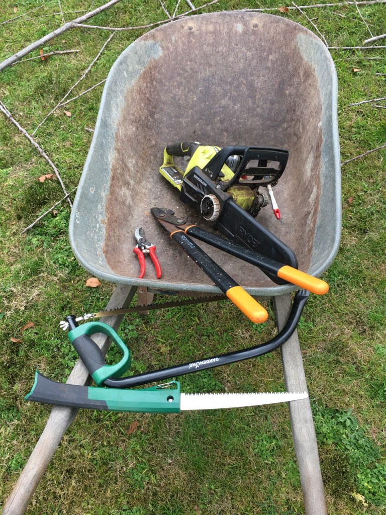 This image has an empty alt attribute; its file name is img_4793.jpg