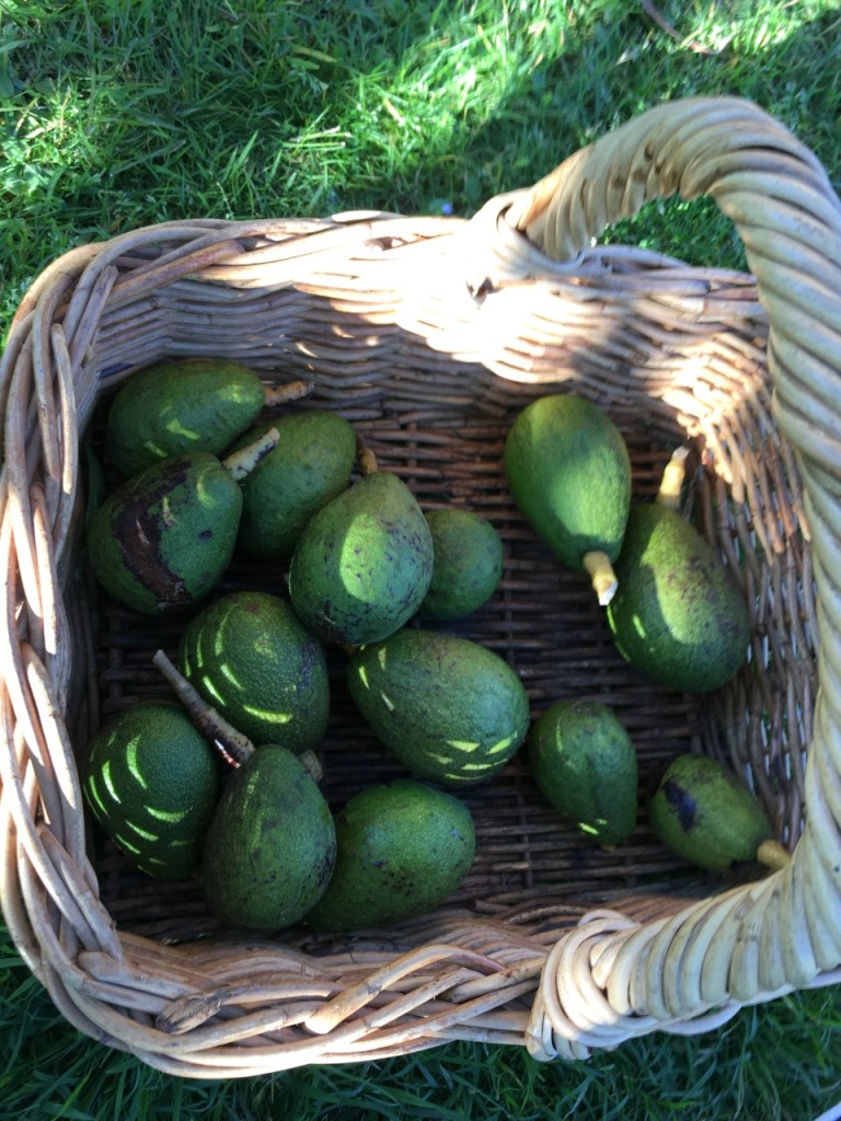 This image has an empty alt attribute; its file name is img_4811.jpg